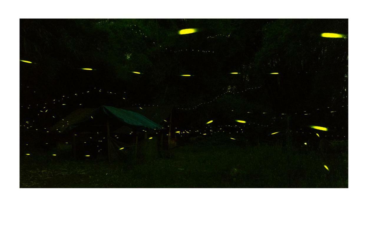 Yangshuo Yunshe Mountain Guesthouse 외부 사진